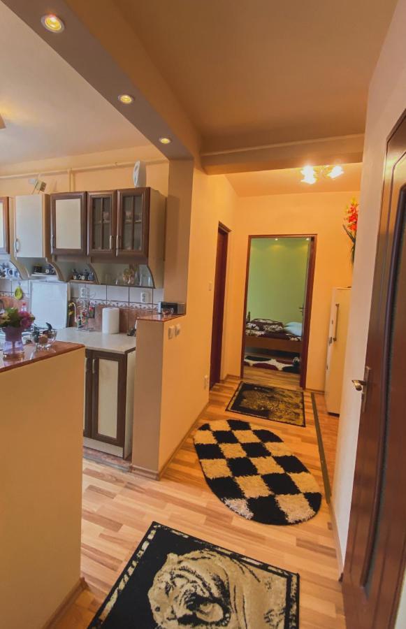 Apartament Cristian Geoagiu Băi Exterior foto